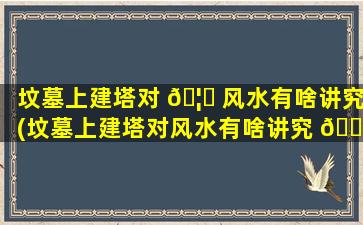 坟墓上建塔对 🦁 风水有啥讲究(坟墓上建塔对风水有啥讲究 🌼 吗*
)